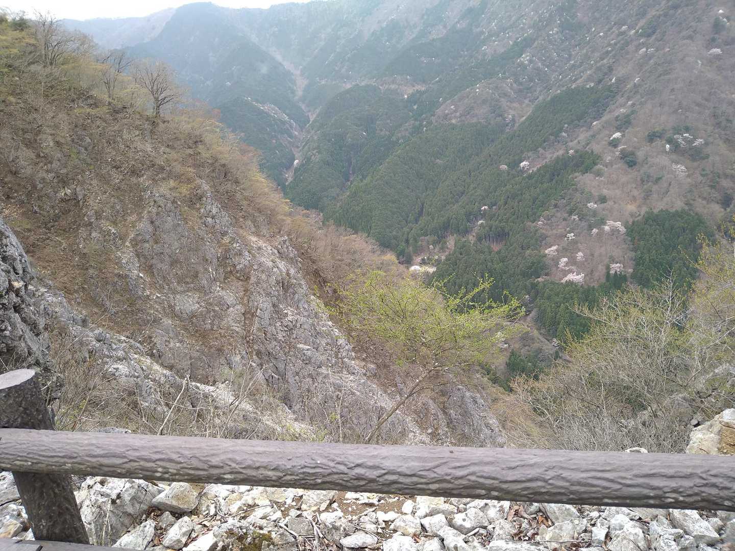 飯盛山-西津汲 往復コースの写真