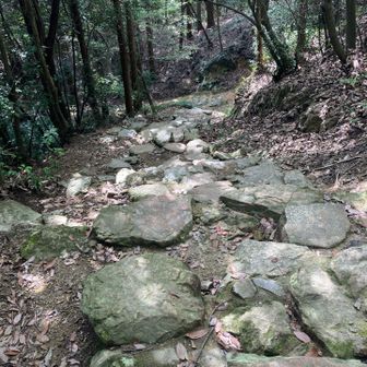 龍ノ口山⛰️へ🚶