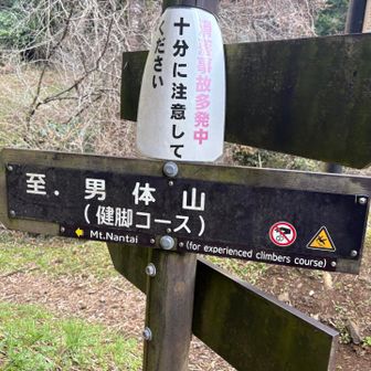 健脚コースで🦵がんばる