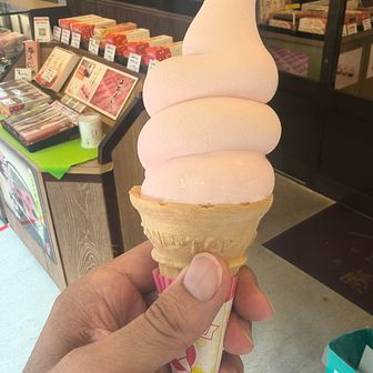 吉野にきたので!?休憩がてら桜🌸ソフトクリーム🍦を。