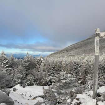 茶臼山へ。真っ白だー