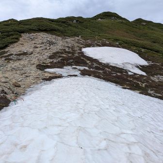 ❄数メートル雪渓を歩き〼