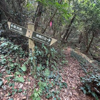 山頂行くにはここでピンテのほうに行くよ