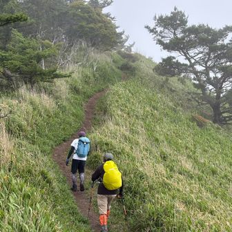 帰り道、右から強風！