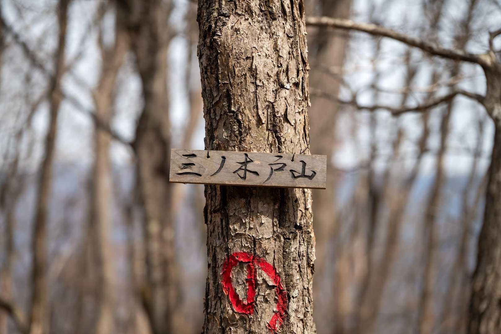 六ツ石山登山口-長尾ノ頭-六ツ石山-十二天山-絹笠山-六ツ 縦走コースの写真