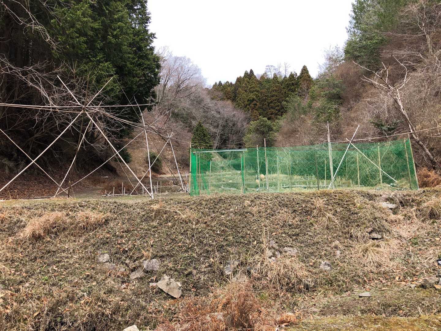 さてとんぼ池の横を通って次へ行きます