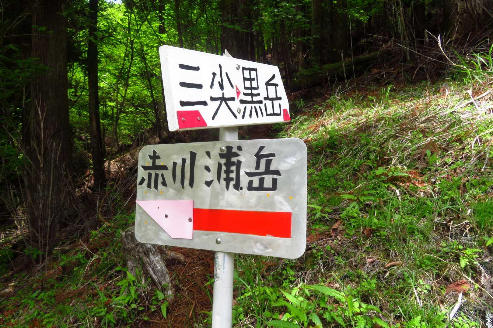 山歩き満喫しました🤗