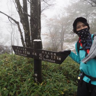 日高に到着。雨が降ってきたので帰ろうとしましたが、良く観察したら木に付いている雫が風で飛んできたのを雨と勘違いしていただけなので、気を取り直して丹沢山に向かいます