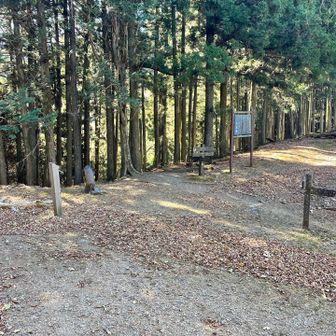 妻坂峠まで降りてきました