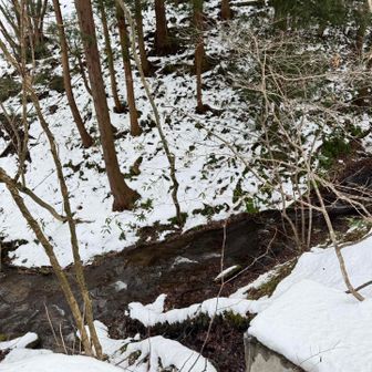スノーシューでシューシューなので下山早いねー
