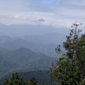 大室山が富士山ぽく見えるのですが？