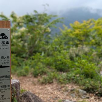 指尾山⛰️
本日２座目