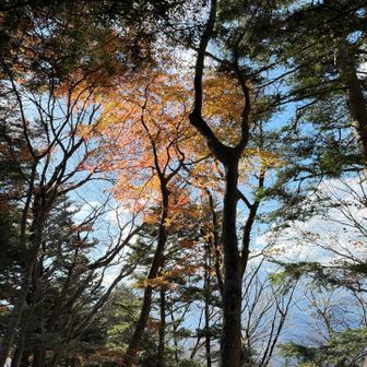 仏果山でお昼を食べて、下山です。
紅葉も僅かに残っている程度🍁