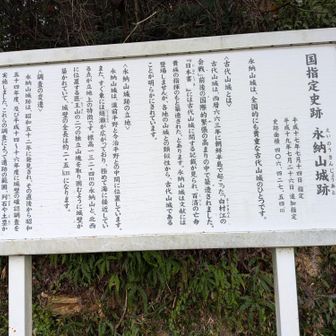 2回目の永納山なので山頂を目指して
歴史を感じながら、獣の動きも感じ😅