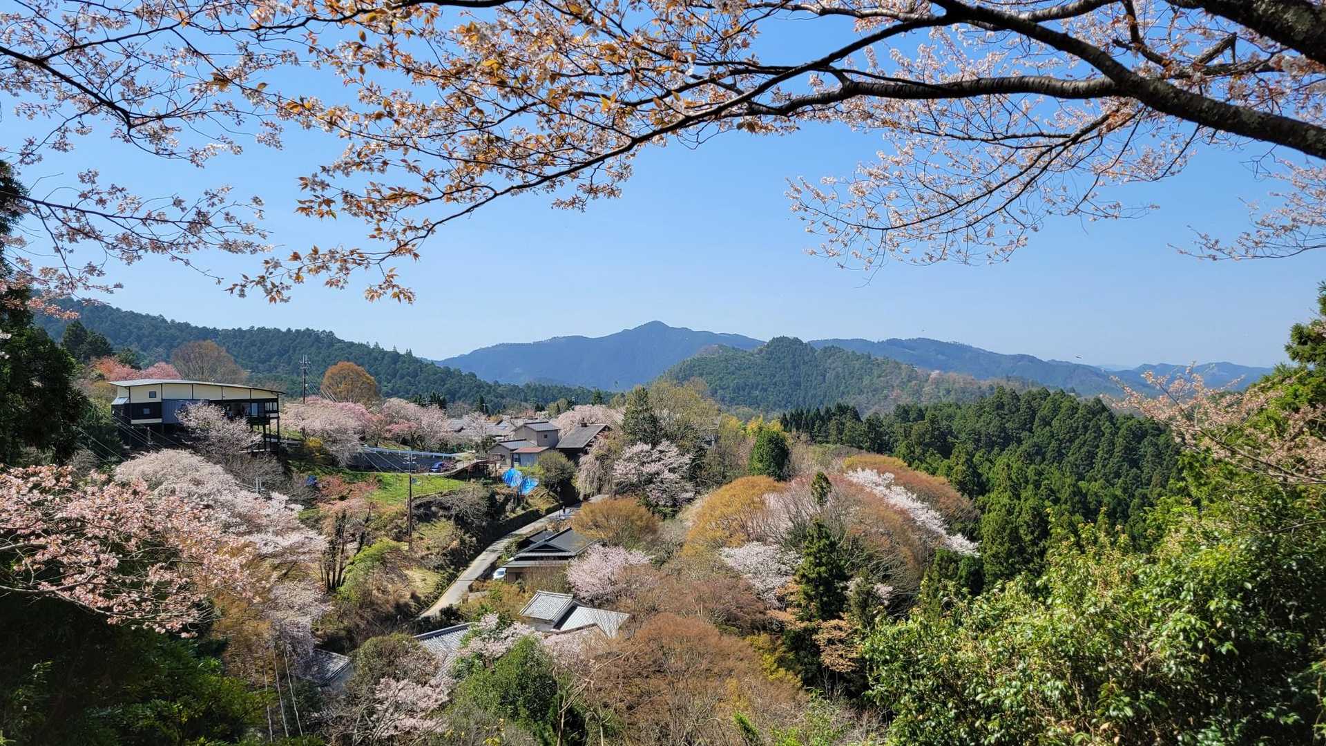 吉野駅-金峯山寺-韋駄天山-吉水神社-吉野水分神社-高城山 往復コースの写真