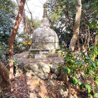 山頂の様子　山頂には、仏舎利塔。