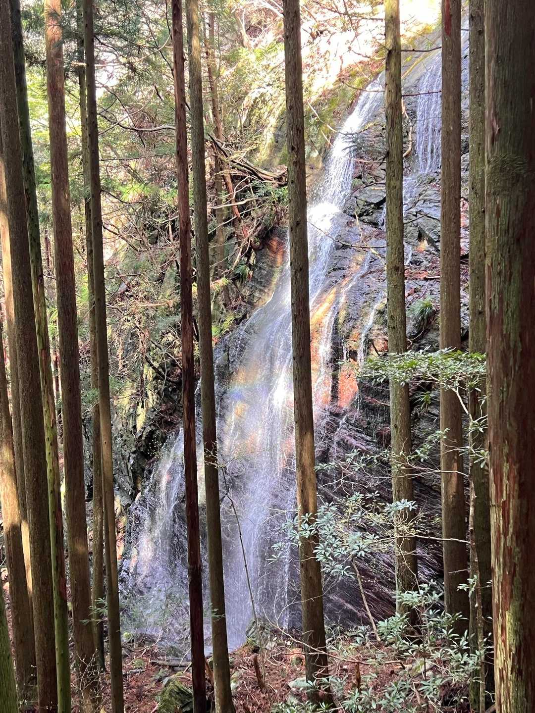 虹がかかった🌈