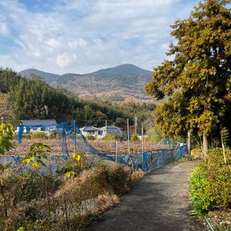 下界に降りてきました😊