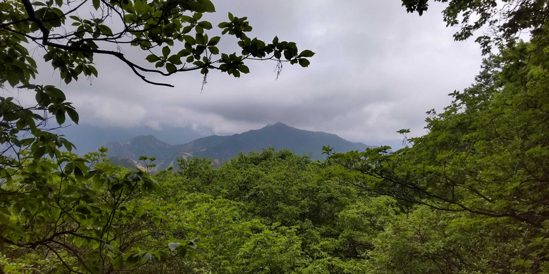下山途中、少し明るくなり景色も見え始めました！