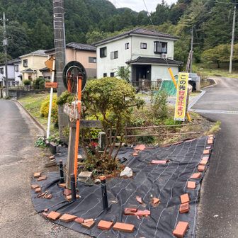 ここから登山道かな　