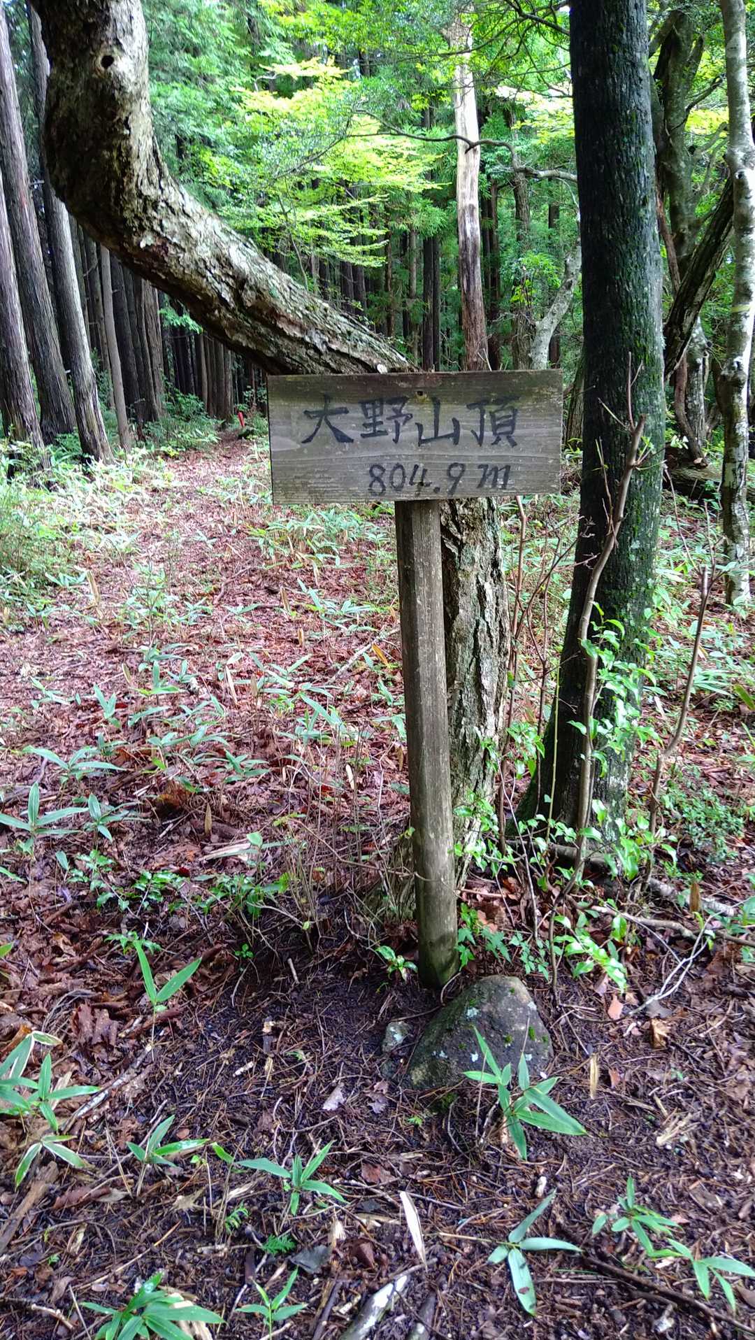 ほどなく大野山山頂へ😉💪🏞️
標高805m。