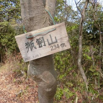 ここまで、結構な急登でした😓もう修行僧の気持ち…