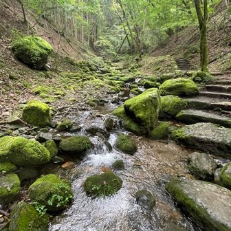 涼しい
