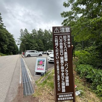 おつかれ様です♪