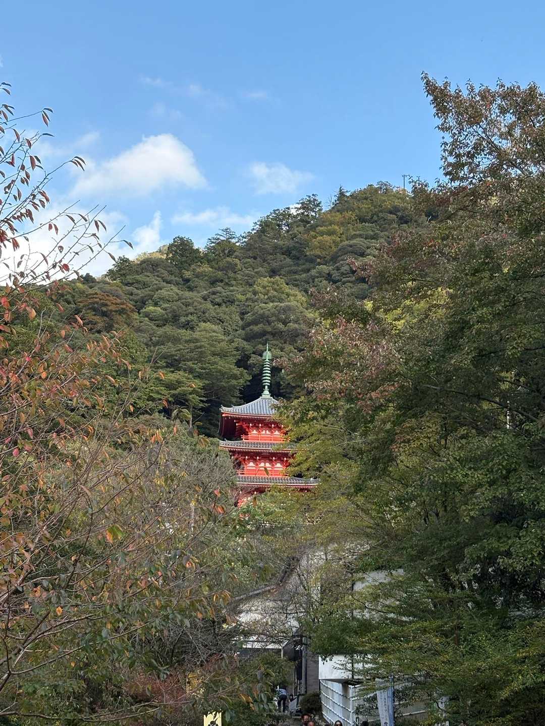水手道（めい想の小径）-金華山-百曲り登山道 縦走コースの写真