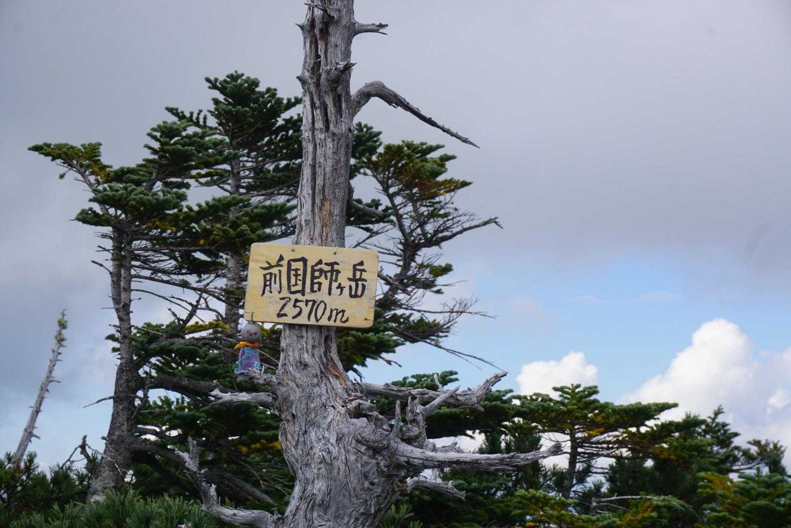 ほい 着いた☝️