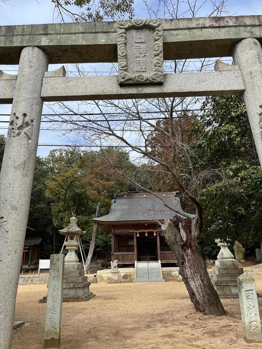 白髭神社登山口-斉藤山-桶居山 縦走コースの写真