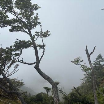 だけど景色はこんな感じ
急に広範囲の雲が☁️😢