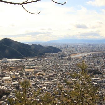 開けたところで岐阜市街地
