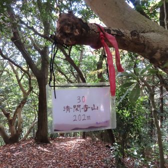 清閑寺山山頂🔺202ｍ