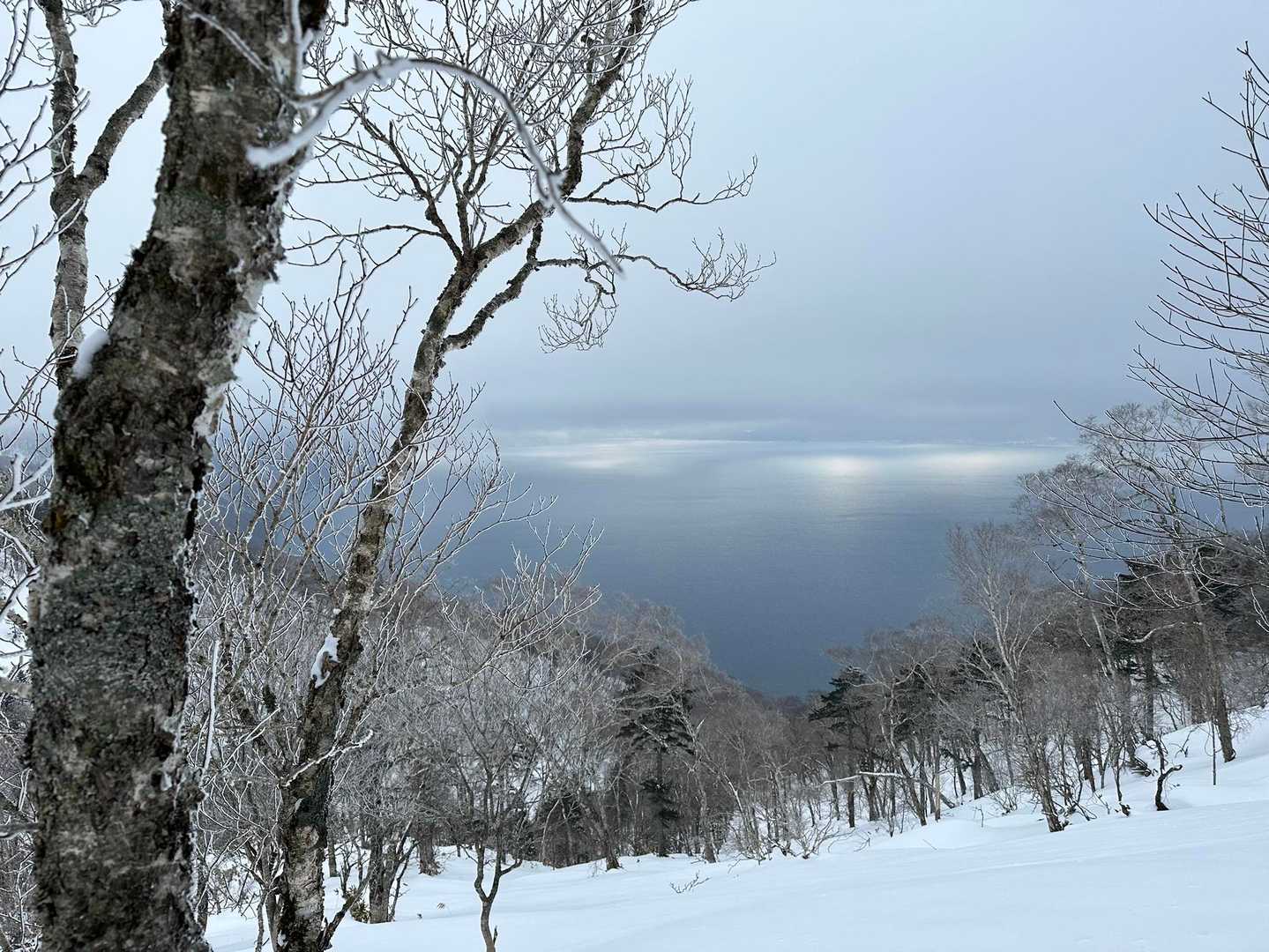 幌平山 往復コースの写真