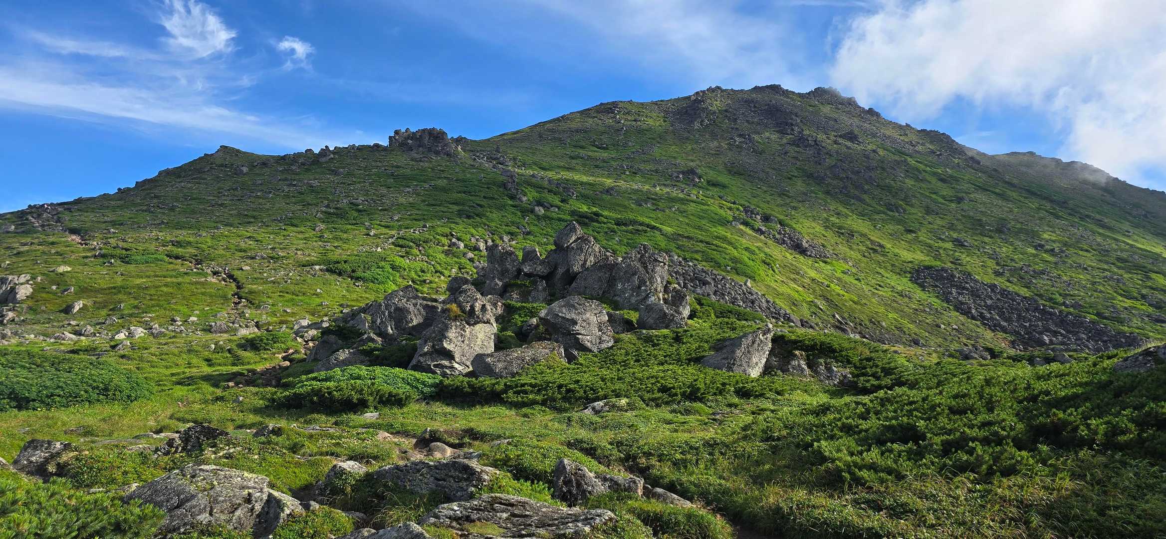 トムラウシ短縮コース登山口-前トム平-トムラウシ山 往復コースの写真
