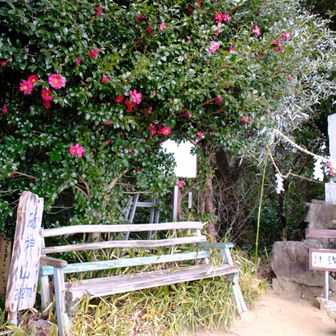 東の砥神山山頂