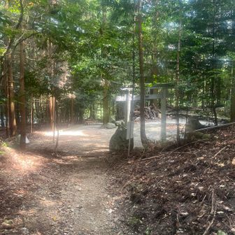 下りは写真撮らないから、いきなり登山口😆
いつもならわーいって言う感じで走って下りるんだけど、また捻ったらえらいことなのでめちゃくちゃ集中😣当然スピードかなり遅め😂
それでも下りは早い🏃‍♀️‍➡️