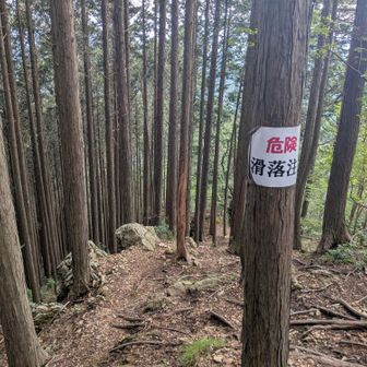 怖いこと言わないで！！
