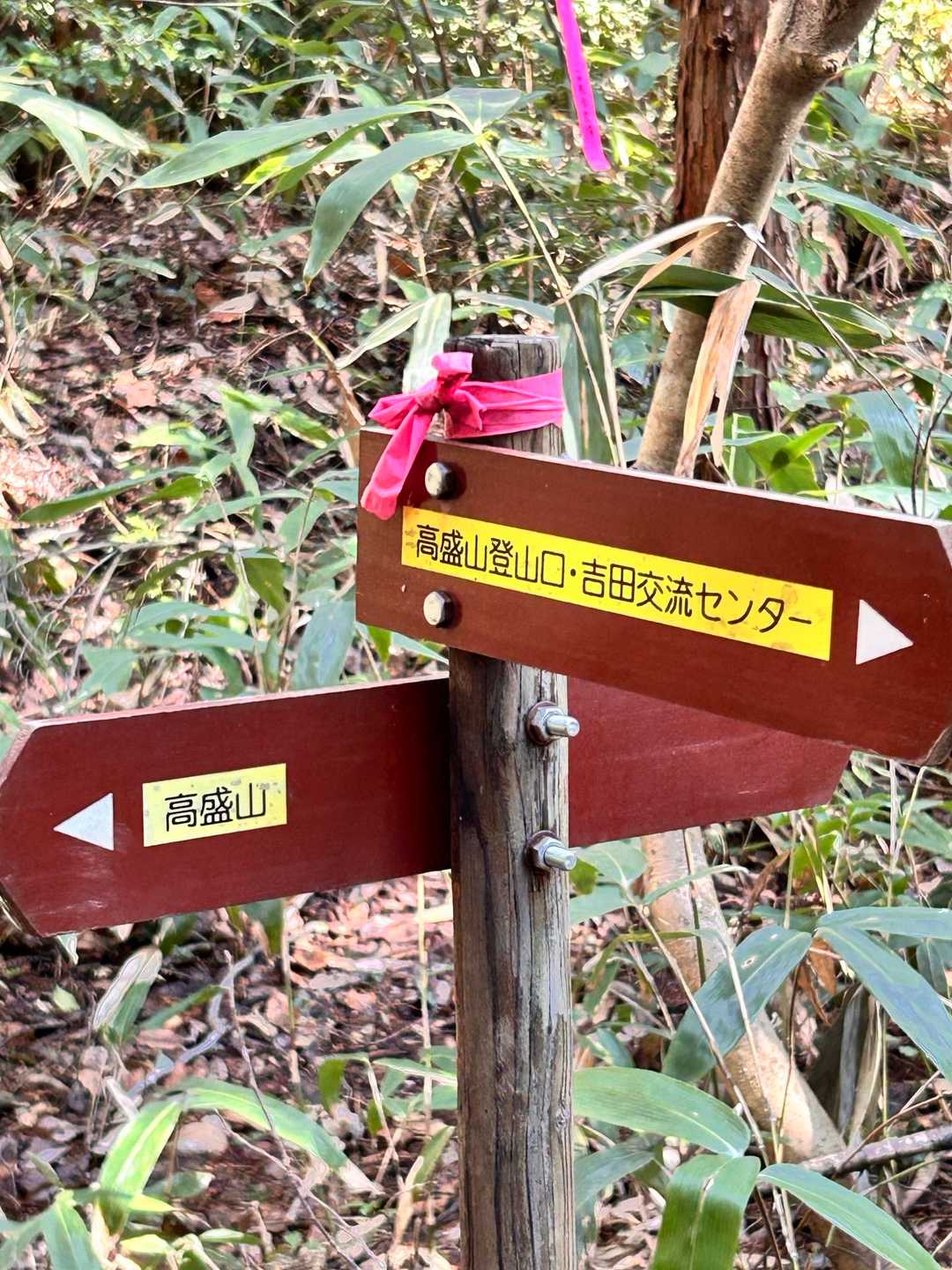 整備されています