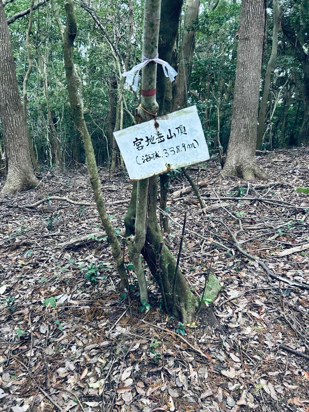 頂上！
看板だけ、景色も無し。😞