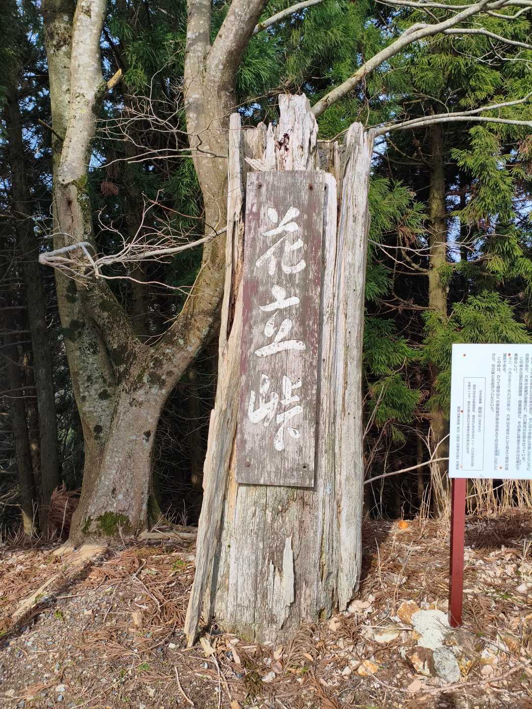 ここの近くに駐車してからスタート❗🚗は私のだけ🤣