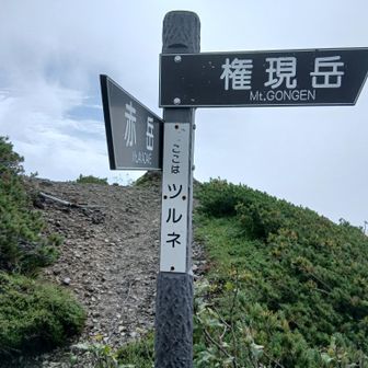 旭岳を巻いてツルネについた