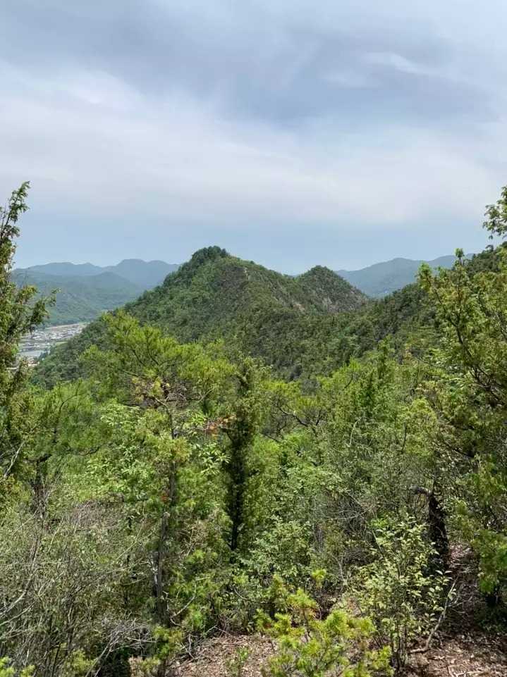 竜王山の写真