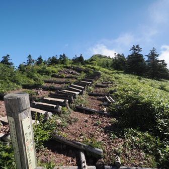 中四阿からのコースと合流。
