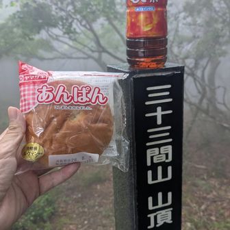 関西百名山87「三十三間山」 / 食べ乗りの登山データ | YAMAP / ヤマップ