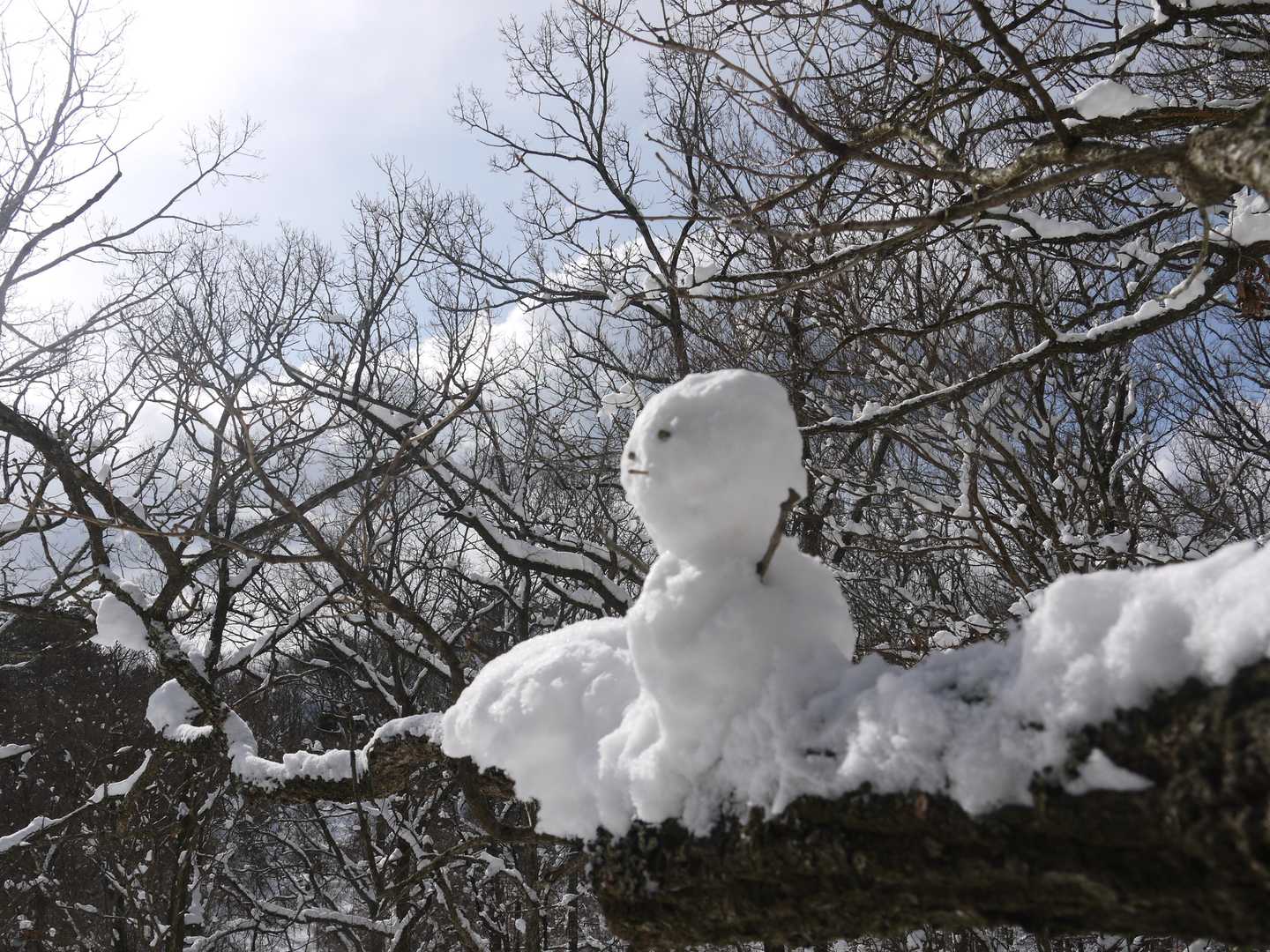 キミをひとり残していくのは悲しいが許してくれぃ！笑
