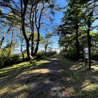 大開平の手前まできました
下山路への分岐