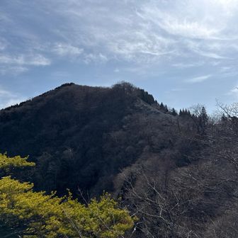 上福根山でしょうか