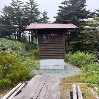 凄く綺麗で清潔なトイレです